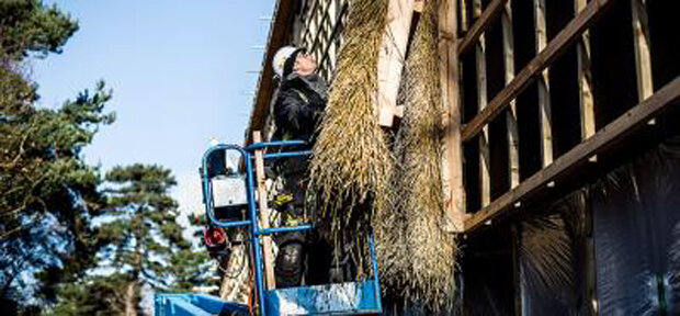 Thatch cladding installation on UEA Enterprise Centre a ‘world first’
