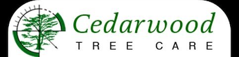 Know the trees, Know where they are…