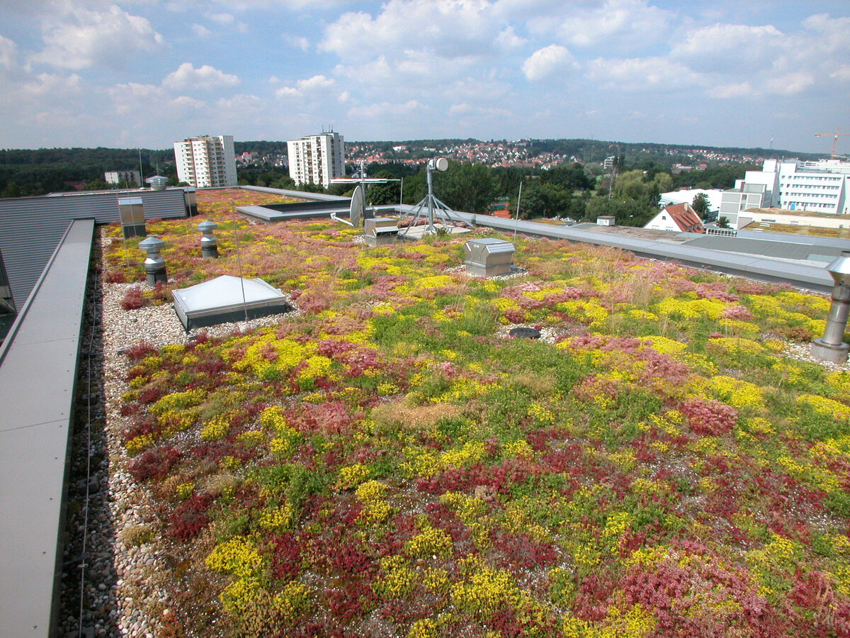 Bauder Ltd has launched its roofing solution for construction within flood sensitive, urban areas.