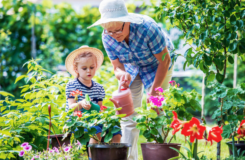 Summer trends to make your garden stand out