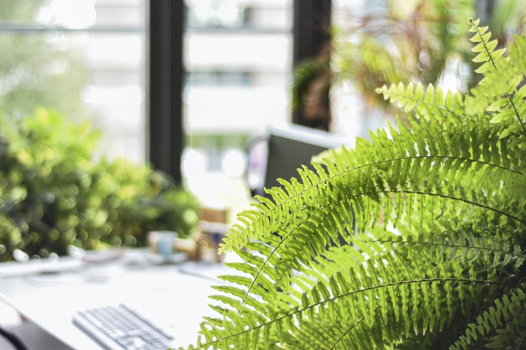Top Tips for Your Business to Be More Sustainable Over the Christmas Period @loadhogltd
