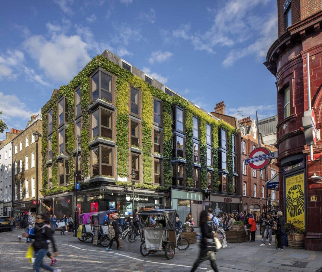 Living wall firm recruiting people interested in creating a greener world
