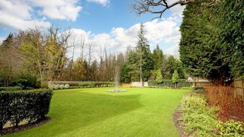 The Do’s & Don’ts When Downsizing