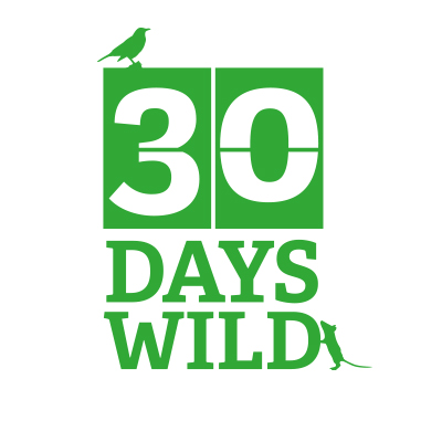 30 Days Wild returns for a fifth year @30DaysWild