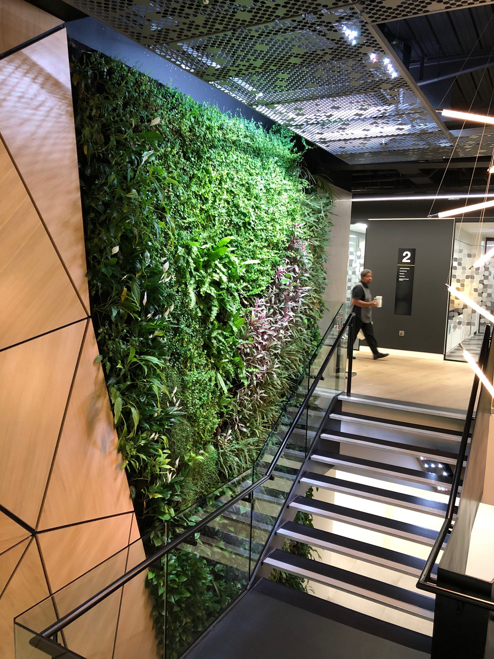 Learn about Living Walls for interior and exterior specification in our Living Wall CPD, delivered by Webinar @ScotscapeWalls