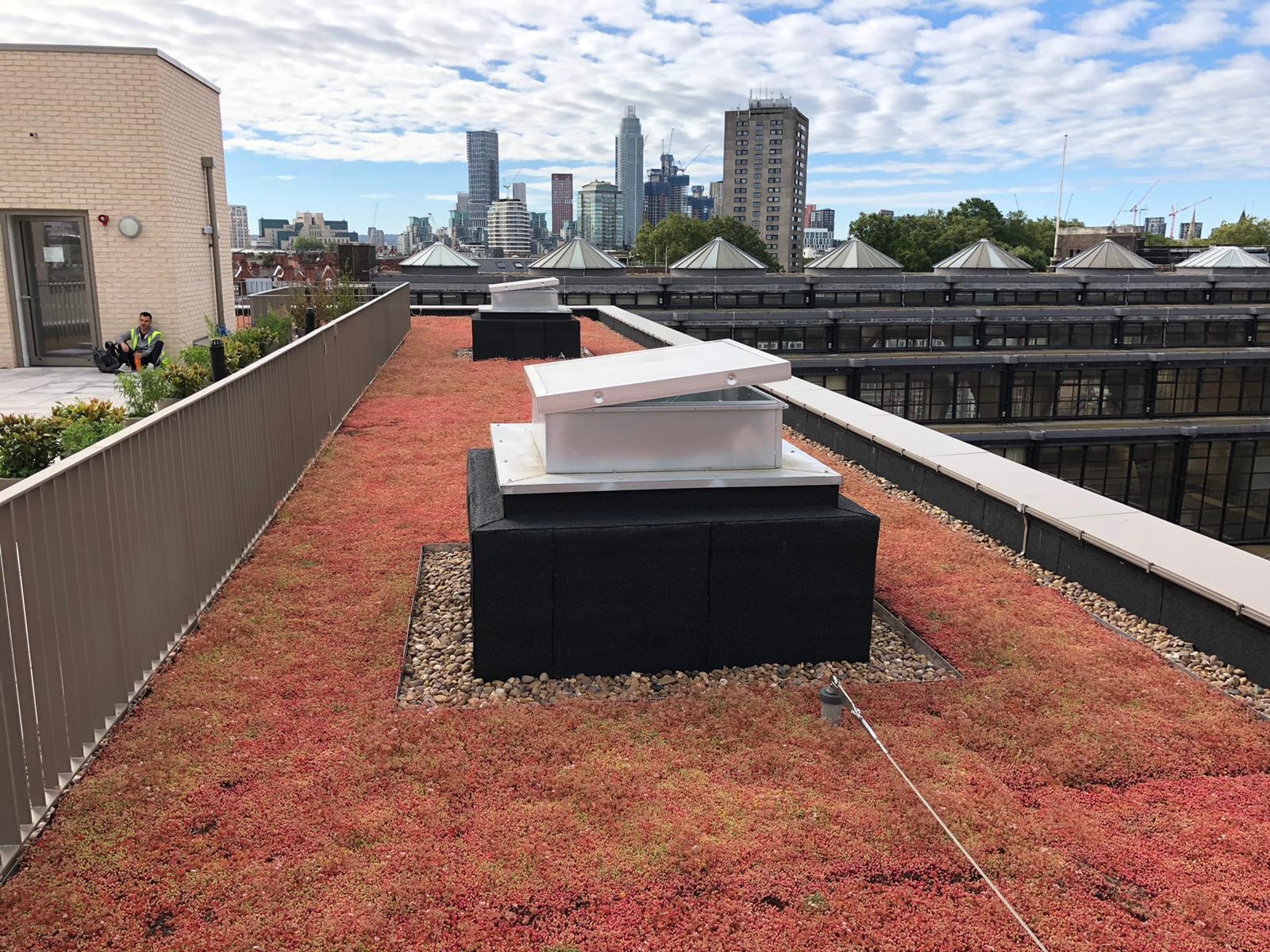 LIVING ROOFS FOR SUSTAINABLE RAINWATER MANAGEMENT @EcoGreenRoofs