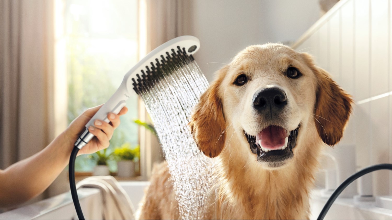 Introducing hansgrohe’s DogShower – a hand-held shower specifically designed for man’s best friend! @UK_Bathrooms