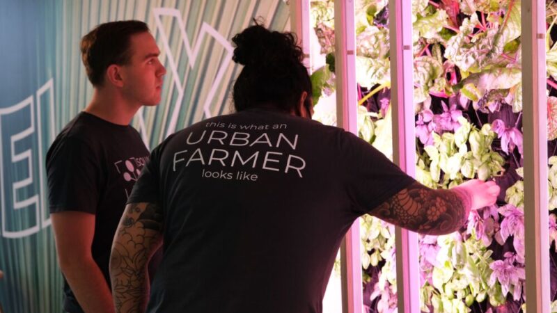 Square Mile Farms now has more than 60 farms in over 25 locations, demonstrating the growing demand for urban farming @SM_Farms