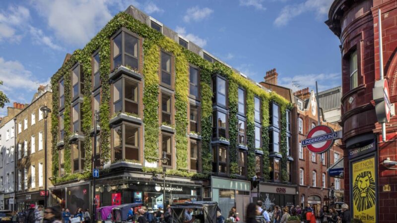Living wall firm recruiting people interested in creating a greener world