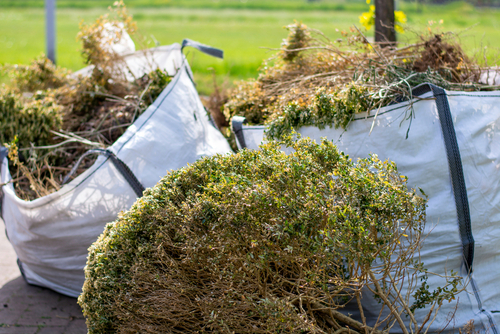 Garden Waste: What Do Both Tenants and Landlords Need To Know?