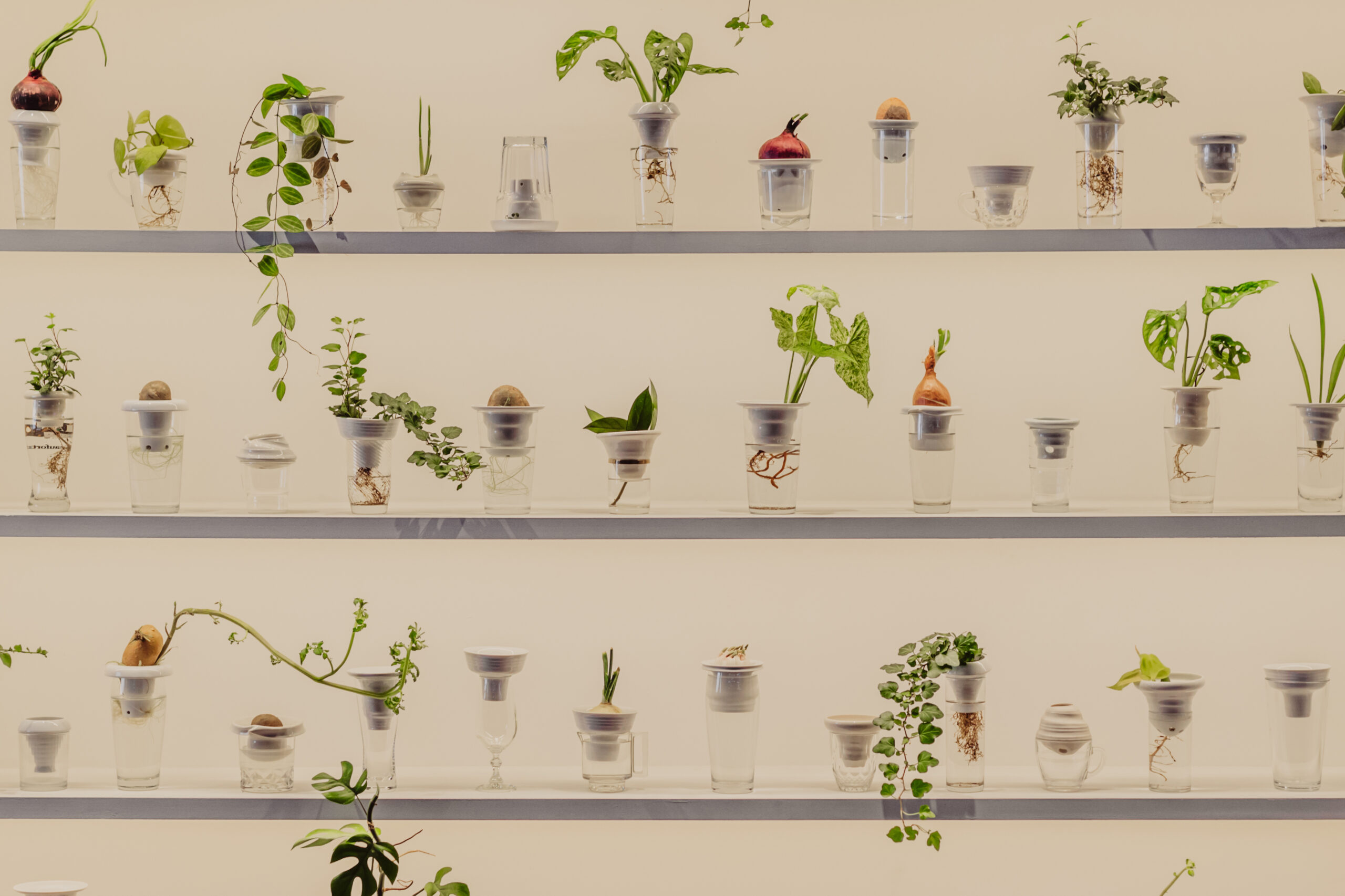 ALICJA PATANOWSKA CREATES ‘PLANTATION’, THE FIRST ARTIST  INSTALLATION FOR THE URBAN FARMER PROJECT  IN LONDON’S FLEET STREET QUARTER (BID)